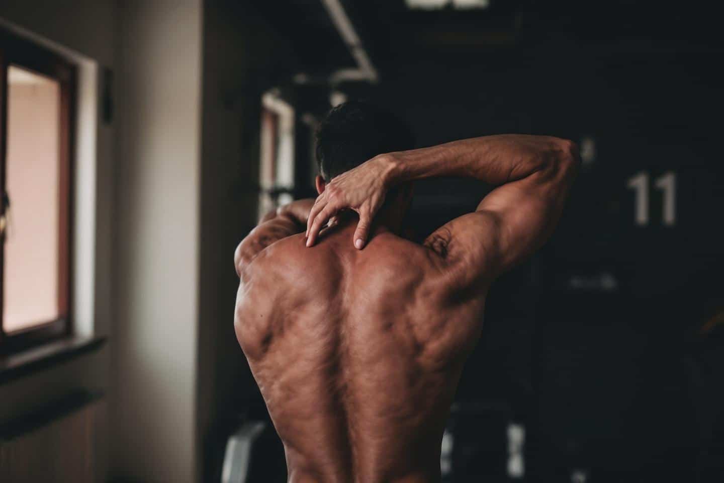 Échauffement avant traction épaules : guide et exercices